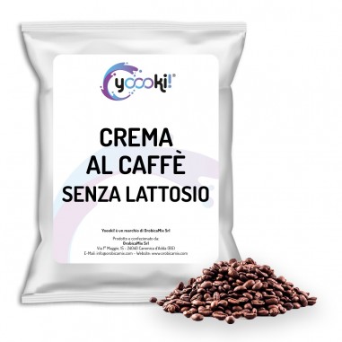 Preparato in polvere per Crema fredda caffè senza lattosio 500 grammi Yoooki