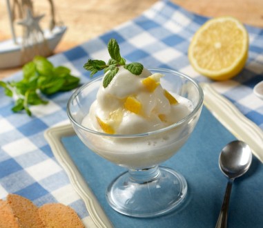 Preparato in polvere per Sorbetto al Limone 1kg Yoooki