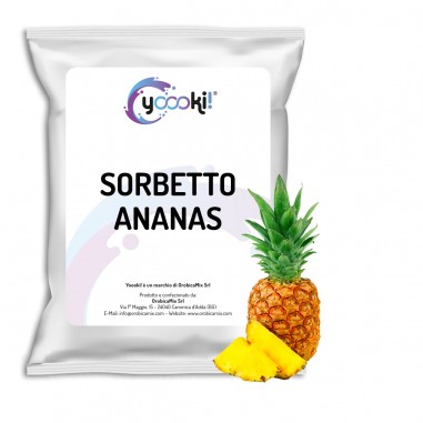 Preparato in polvere per Sorbetto al gusto Ananas 1 kg Yoooki